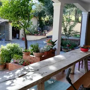 2* Bed and breakfast La Gallina Nel Castello Citr Oo9002-beb Oo11